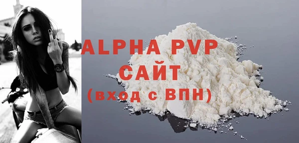 СК Алексин