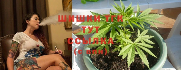 твердый Алзамай