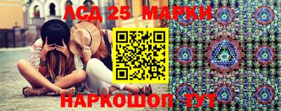 стаф Новокубанск