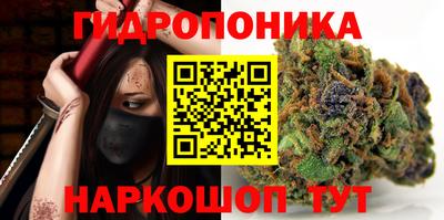 прущий лед Новозыбков