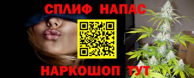 прущий лед Новозыбков