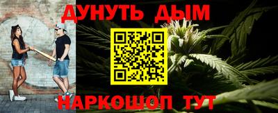 стаф Новокубанск