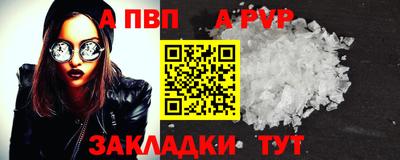 стаф Новокубанск