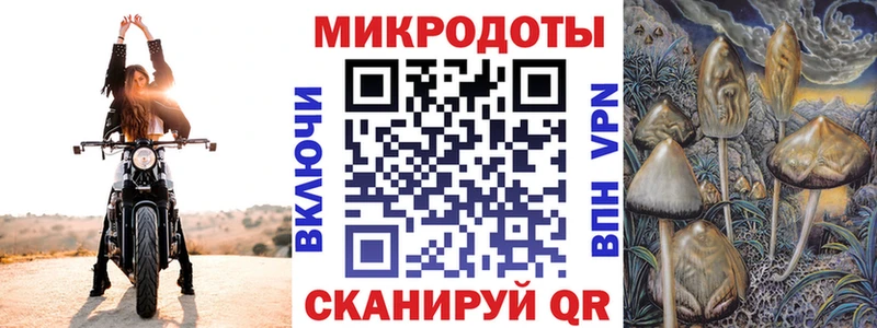 как найти закладки  Урай  Галлюциногенные грибы Cubensis 