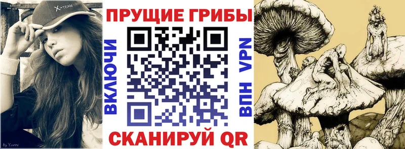 Псилоцибиновые грибы мухоморы Урай
